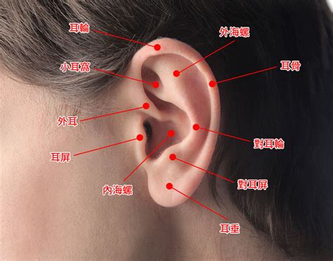 耳洞位置意義